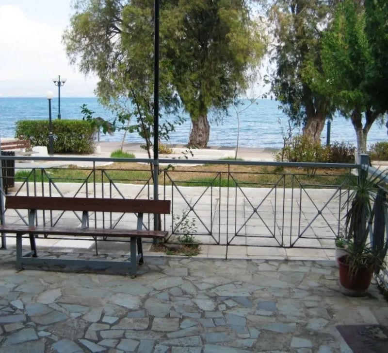 Επαγγελματικός χώρος · 200 τ.μ. · Καλή — Πλάκα Δήλεσι, Τανάγρας